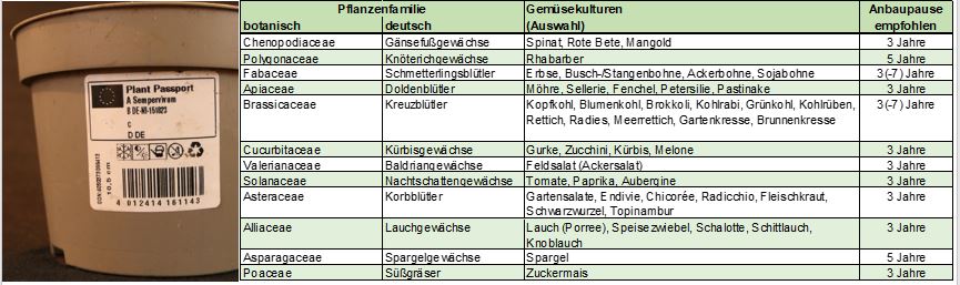 Bild mit Pflanzenpass und Tabelle mit empfohlenen Anbaupausen ausgewhlter Gemsekulturen
